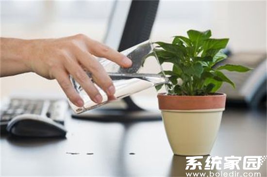 电脑辐射防护有效方法
